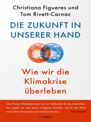 cover image of Die Zukunft in unserer Hand